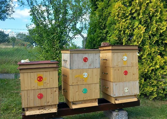 Medova Rtyne v Podkrkonosi